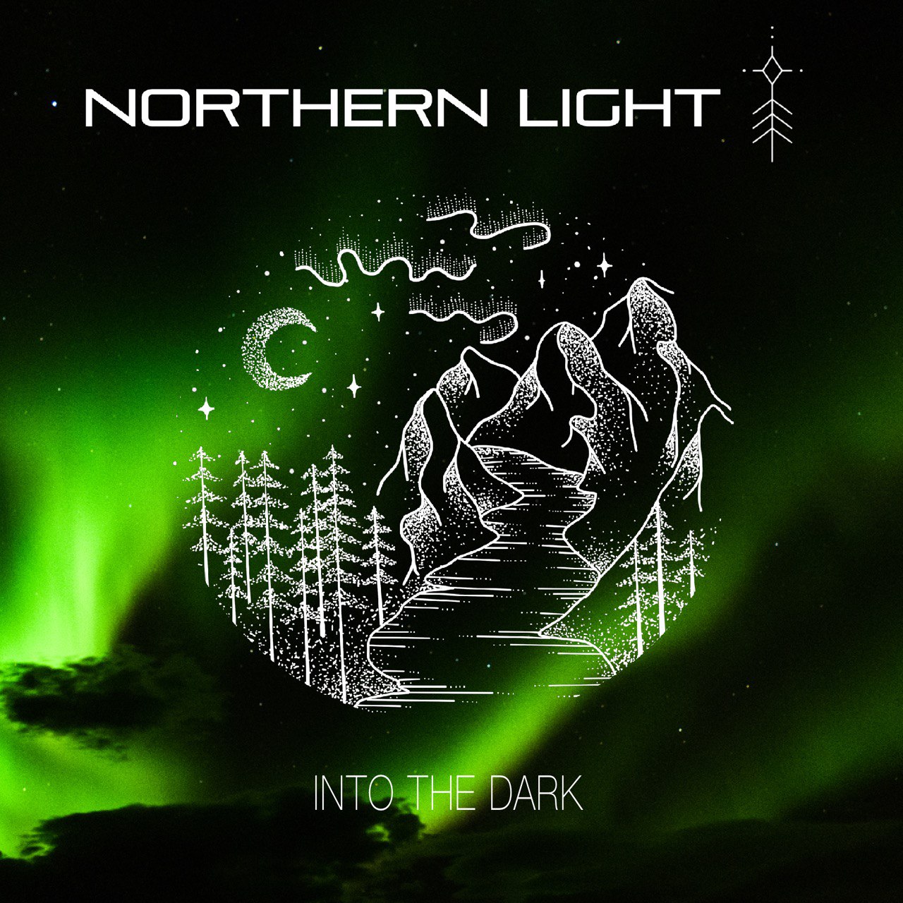 Northern Light - Into the Dark Artwork