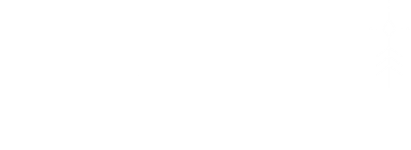 Northern Light Logo